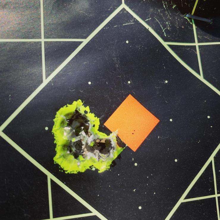 750 yard 6mm-284 group
