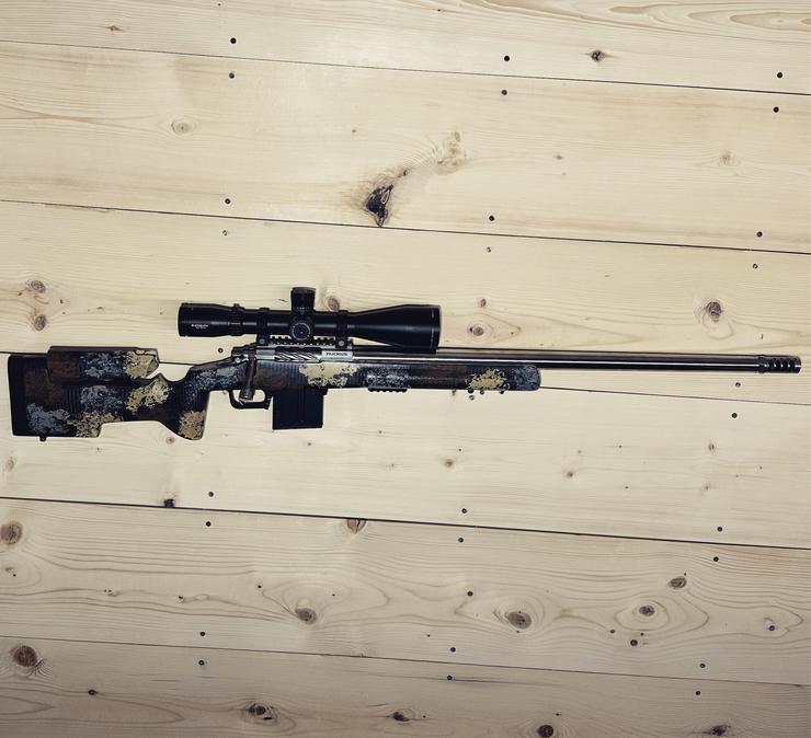 Accurized Remington 223