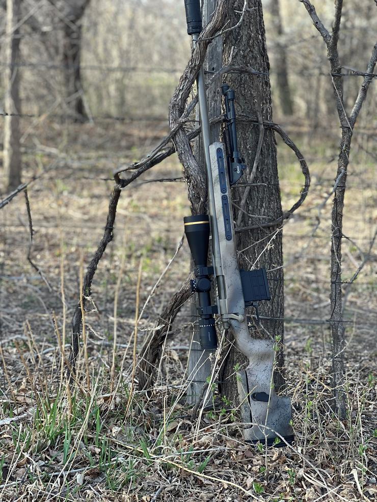 Accurized Remington 223